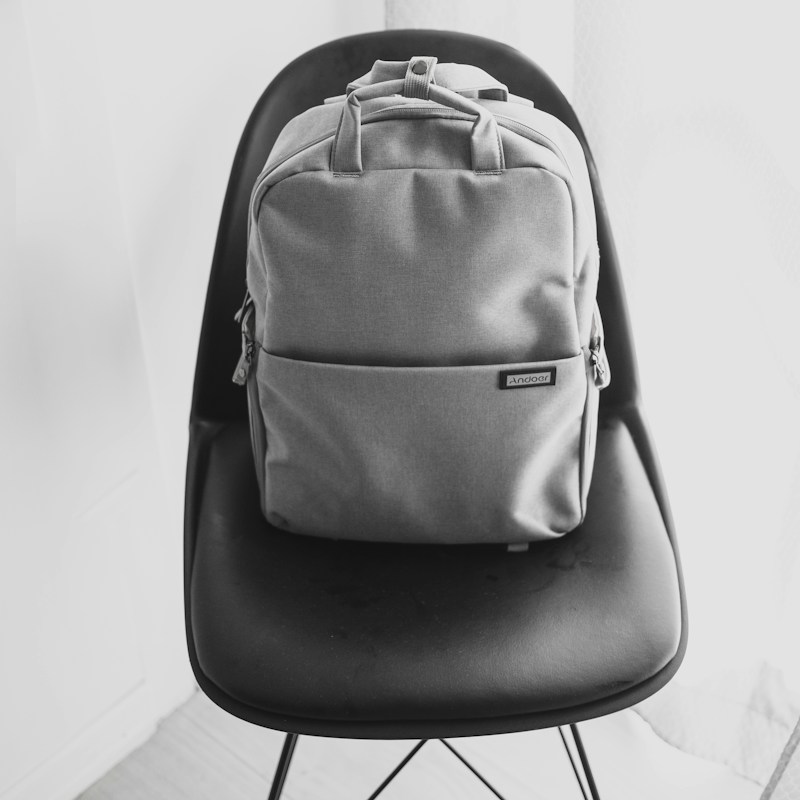The everyday backpack — illustrative category photograph